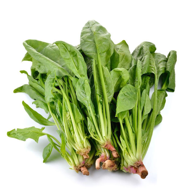 菠菜配送-蔬菜配送-深圳市七畝地農(nóng)產(chǎn)品實業(yè)有限公司